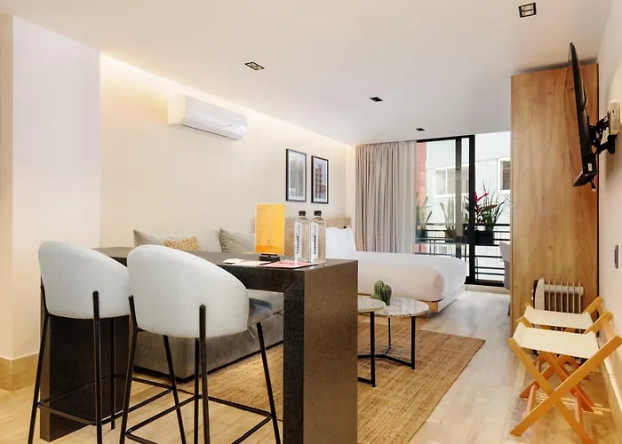 Apartment Chilpancingo By Wynwood House Mexico City